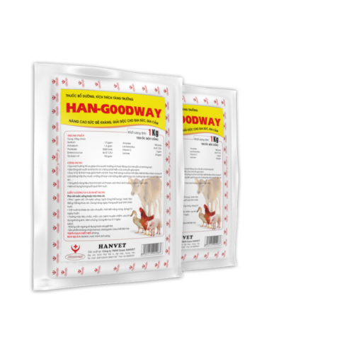 HAN-GOODWAY