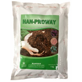 HAN-PROWAY