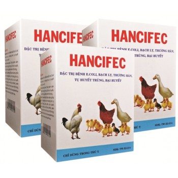 HANCIFEC