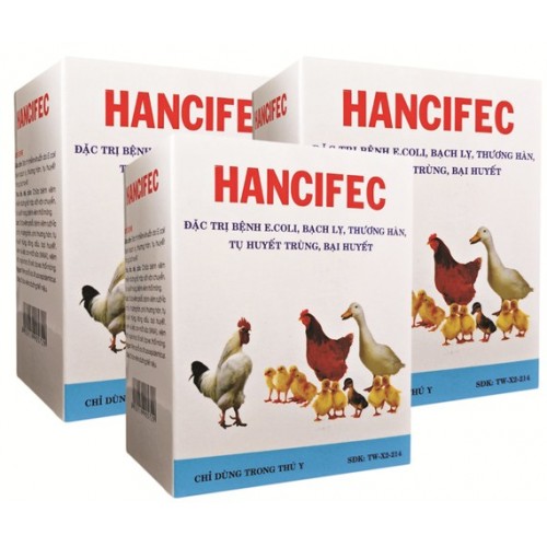 HANCIFEC