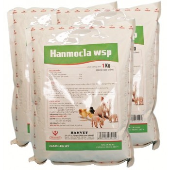 HANMOCLA WSP