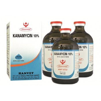 KANAMYCIN 10%
