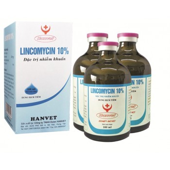 LINCOMYCIN 10%
