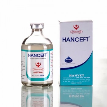 HANCEFT