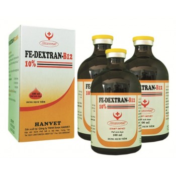 FE-DEXTRAN-B12 10%