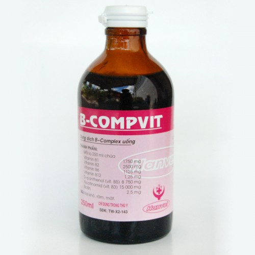 B-COMPVIT