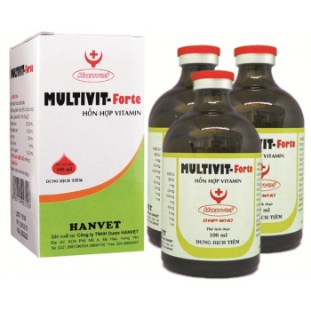 MULTIVIT–Forte